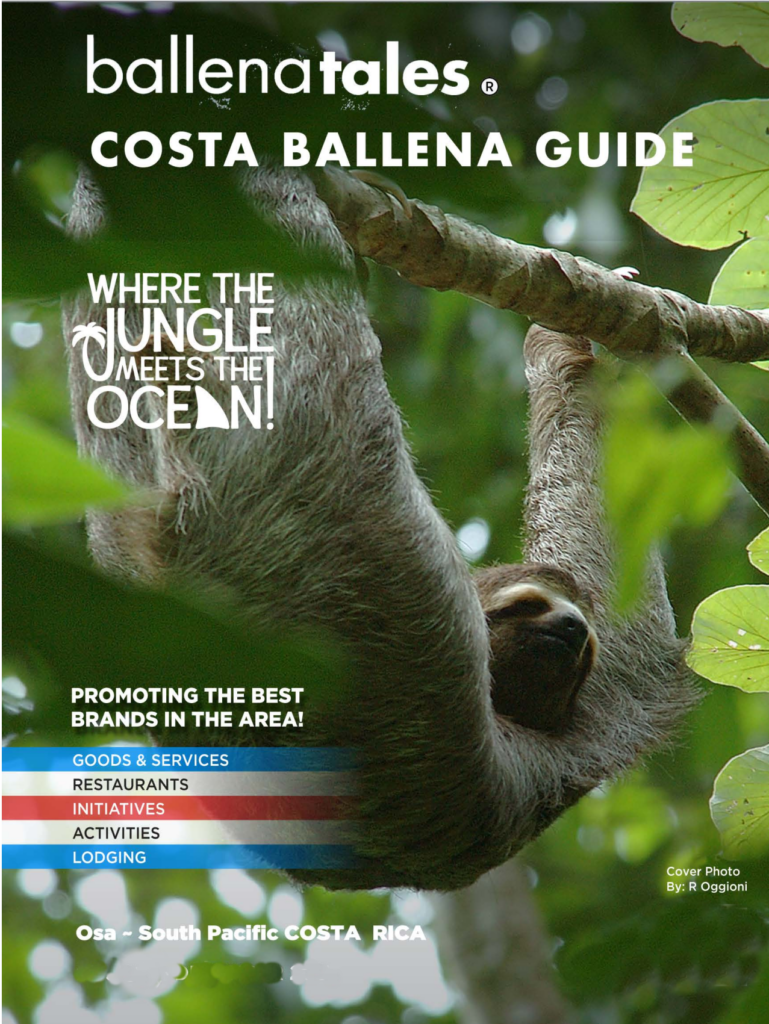Costa Ballena Guide
